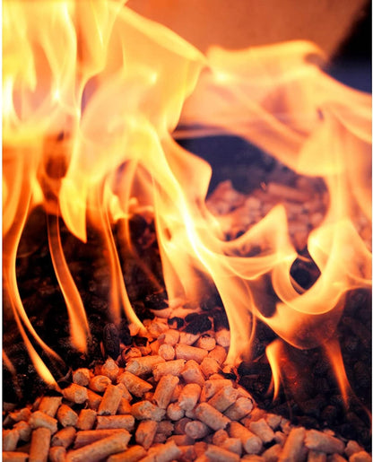 Green Mountain Grills GMG-2001-GOLD Premium Gold Blend Pellets de madera pura con sabores de madera de roble negro, nogal, olmo y mezquite para asar carne